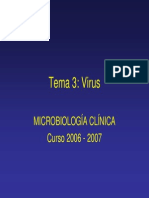 EL VIRUS