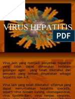 k4 - Virus Hepatitis