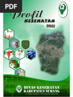 Download Profil Kesehatan Kab Subang Tahun 2011 by Sopan Supriadi SN225798157 doc pdf