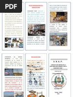 Triptico de Cristian