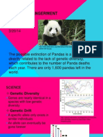 Panda Endangerment
