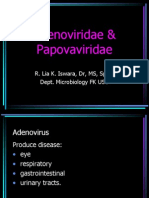 Adenoviridae & Papovaviridae: R. Lia K. Iswara, DR, MS, SPMK Dept. Microbiology FK Usu