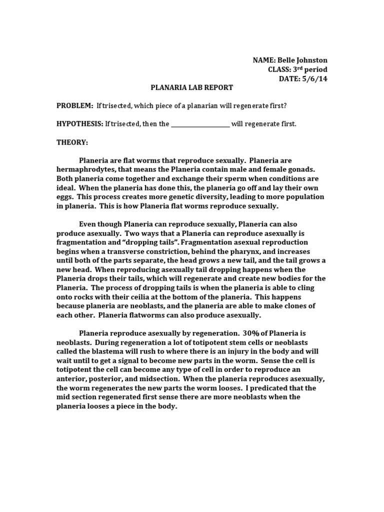 Virtual flatworm lab picture