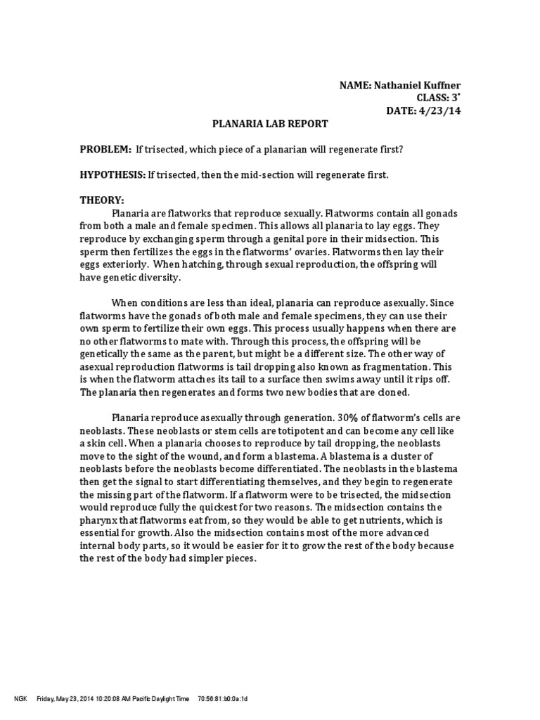 Planaria experiments picture