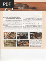 Cap.13 Moluscos