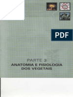 Cap.28-Morfologia Externa Das Plantas Angiospermas