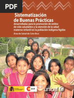 Sistematización Buenas Prácticas Ngobe