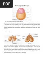 Osteologia Da Cabeça