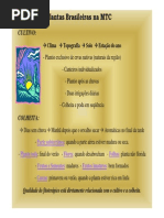 Plantas Brasileiras Na MTC