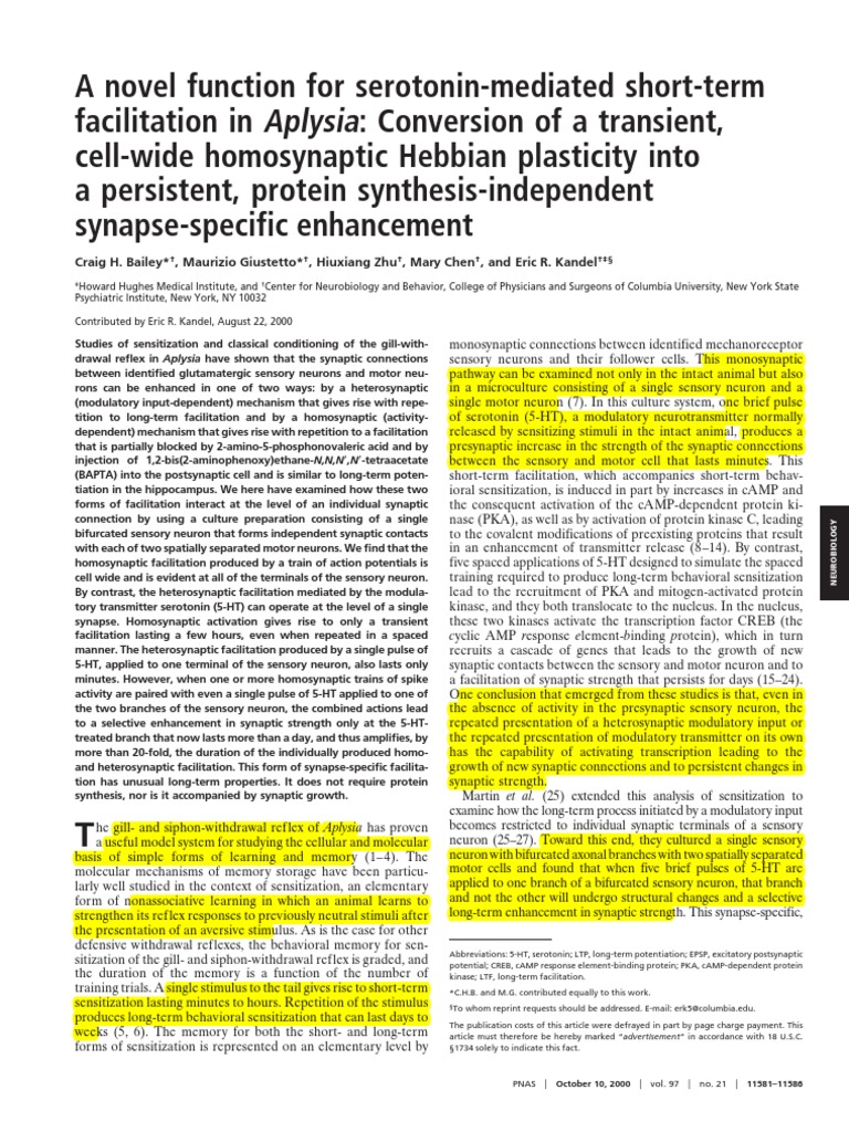 Serotonin's Role in Aplysia Synaptic Plasticity | PDF | Long Term ...