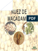 Nuez de Macadamiaok