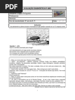 9 Ano Port Charge e Tiras.