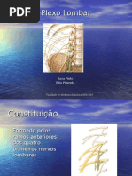 Plexo Lombar - Anatomia