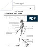 Fichas de Estudo Do Meio 4º Ano