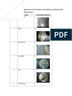 Lampiran Uji Mikrobiologi Fix 2