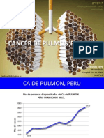 CA de Pulmon Peru 2004 2013