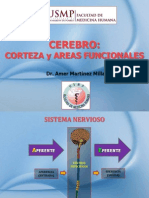 4 Cerebro - Corteza y Areas Funcionales PDF