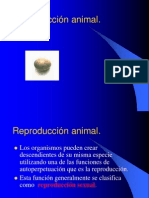 Reproducción Animal.