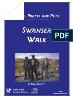 Swansea(2)