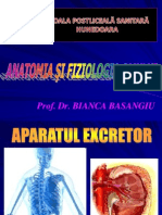 Aparatul Excretor