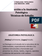 Introduccion Anatomia Patologica