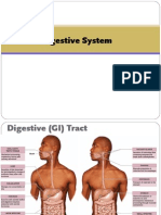 Curs 9. Sistemul Digestiv 1