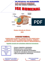 Acidose Ruminal