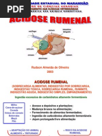 ACIDOSE RUMINAL