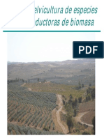 PacoSoria SelvicSpBiomasa