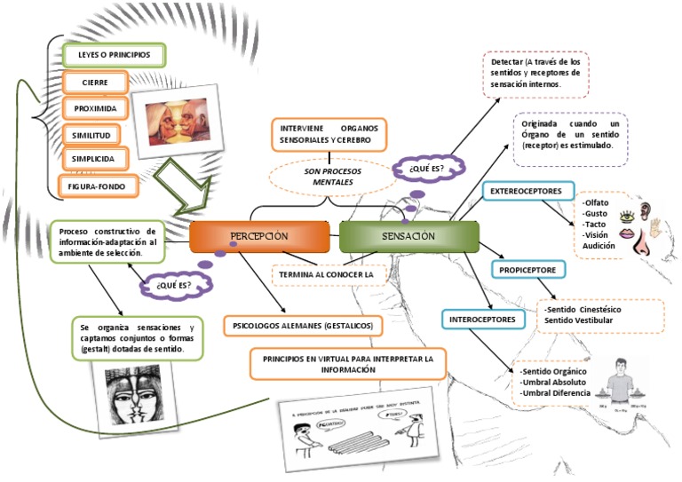 Mapa Mental Sensacion Percepcion.L.R