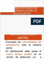 2.1.Normas Especiales de Procedimiento Penal de Adolescentes