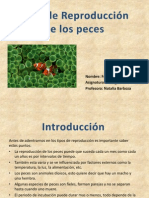 Tipos de Reproduccion Peces