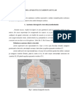  Anatomia Inimii