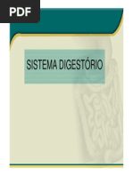 SISTEMA DIGESTÓRIO.pdf