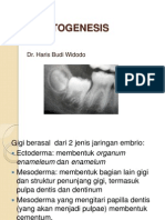 L1 - Odontogenesis-2014