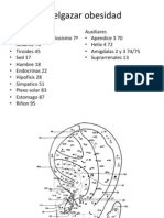 Adelgazar Obesidad