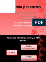 Anatomia Grupo 3