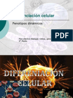 Diferenciacion Celular