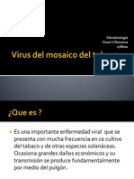Virus Del Mosaico Del Tabaco