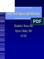 Deep NeckSpaces 2002 04 Slides