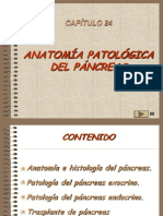 24,Patologia Del Pancreas