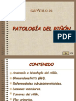 26,Patologia Renal