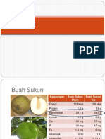 Functional of Native Bread Fruit