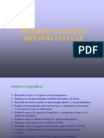 Clase 10a-Biologia Celular Metodos NUTRICION 2014