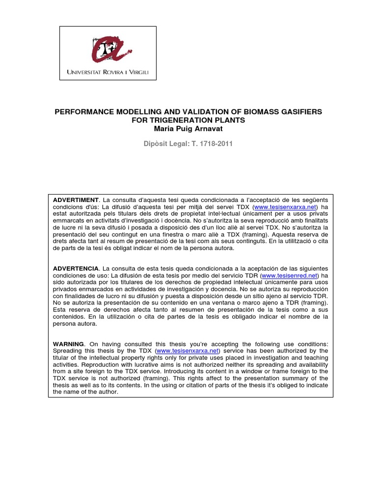 Thesis gasification 06 picture