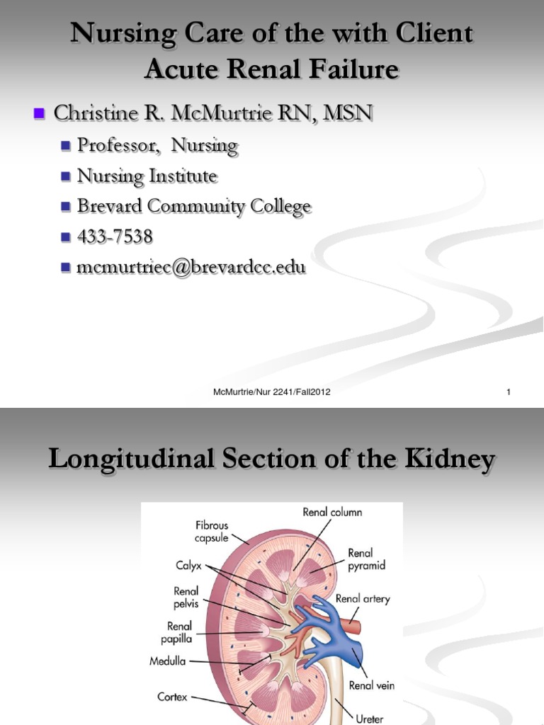 Acute and Chronic Renal Failure | PDF | Kidney | Renal Function