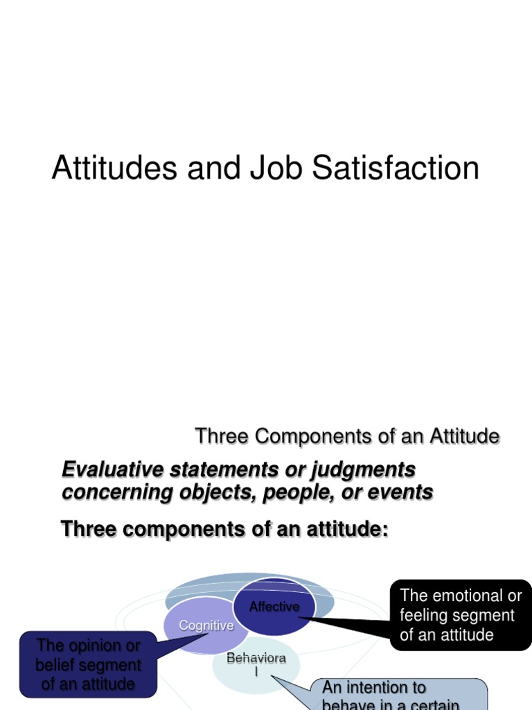 Attitudes and job satisfaction essay picture