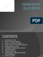 Blue Brain