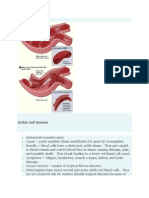 Genetic Disorders: Sickle Cell Anemia