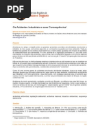 RBRS 10-5 Os Acidentes Industriais e Suas Consequencias